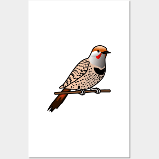 Northern Flicker (woodpecker) Posters and Art